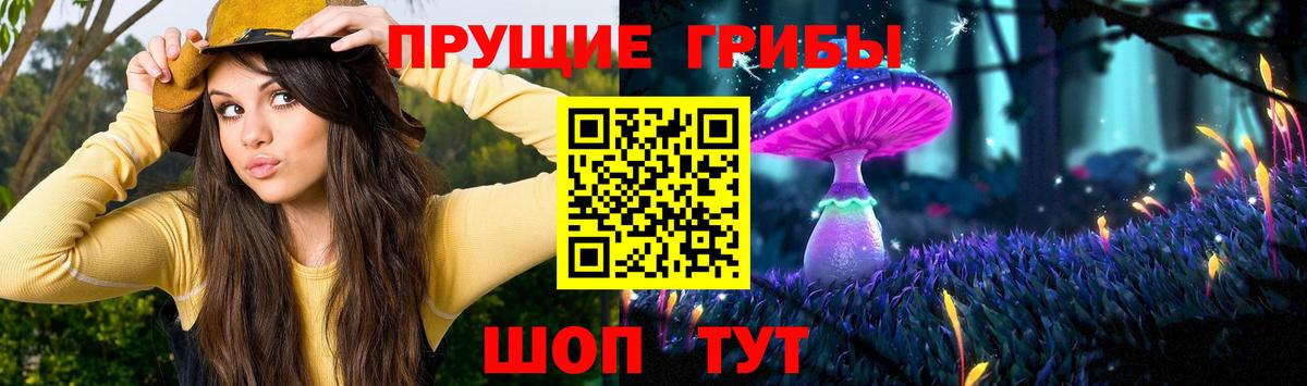 Долгопрудный  Псилоцибиновые грибы Magic Shrooms  купить  сайты  Вход с VPN 